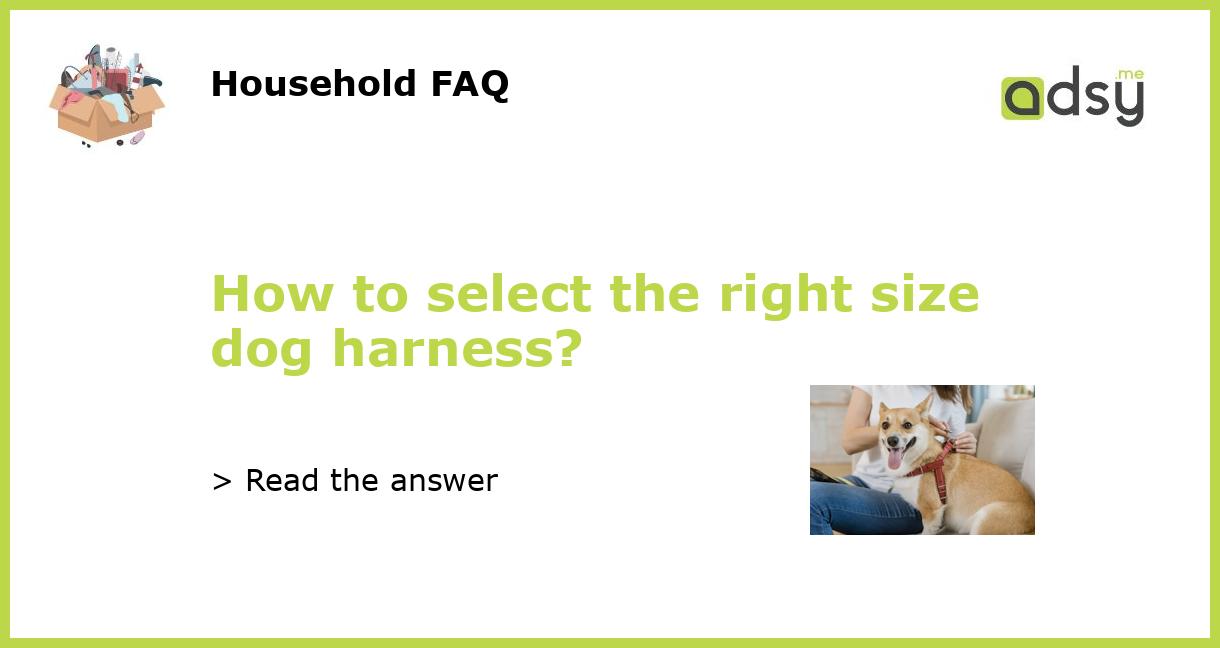 How to select the right size dog harness?