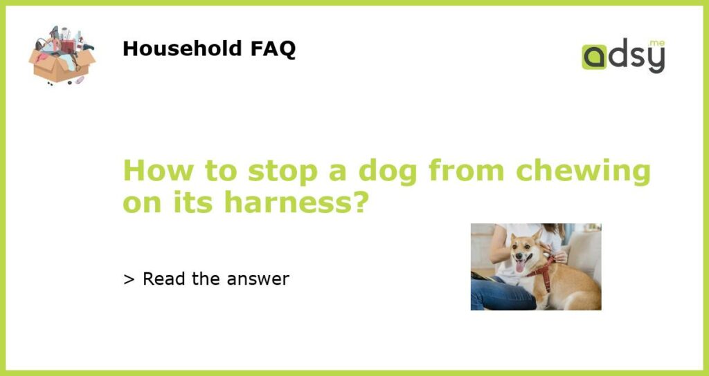 How to stop a dog from chewing on its harness featured