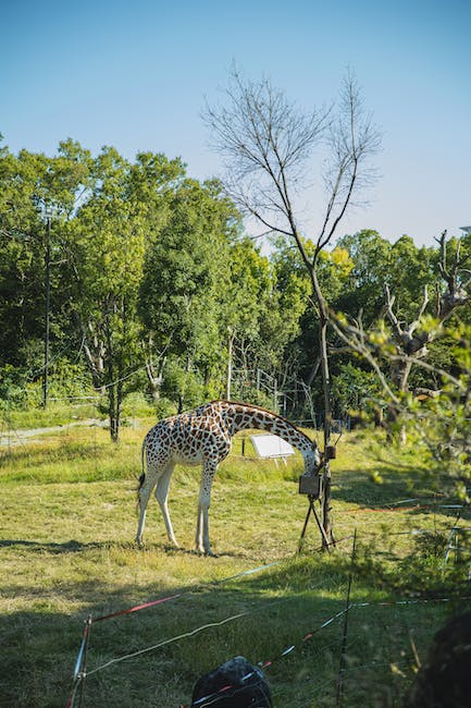 Nature conservation efforts in a national wildlife refuge