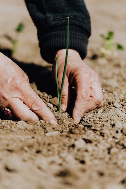 Organic gardening