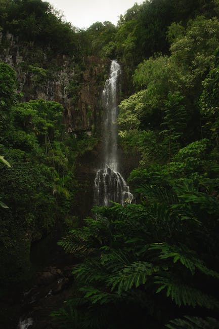 Road to Hana