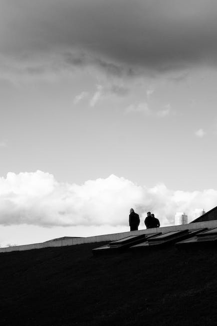 Roof inspection