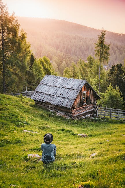 Rustic treehouses surrounded by forest