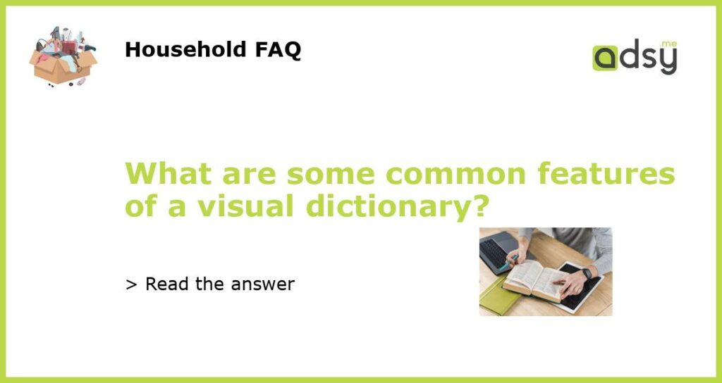 What are some common features of a visual dictionary featured