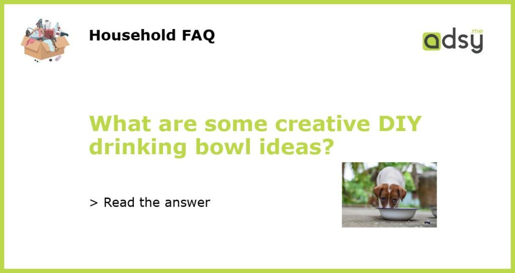 What are some creative DIY drinking bowl ideas featured
