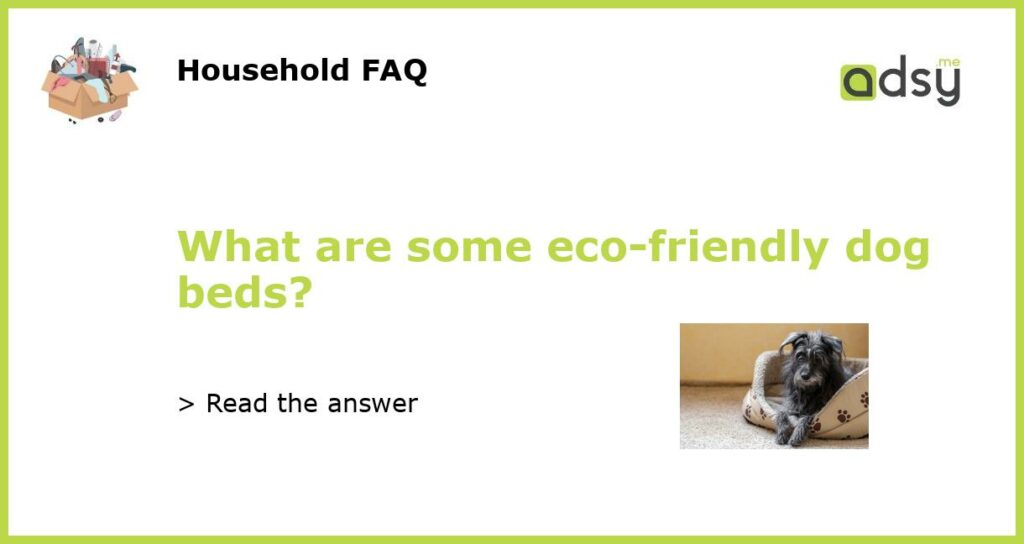 What are some eco friendly dog beds featured