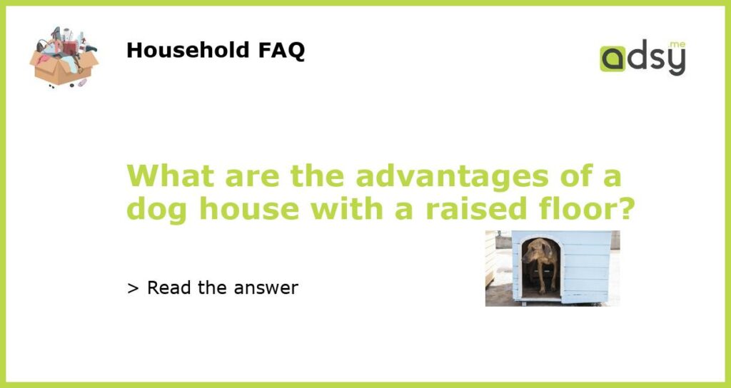 What are the advantages of a dog house with a raised floor featured
