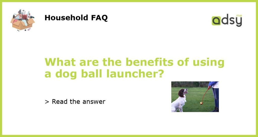 What are the benefits of using a dog ball launcher featured