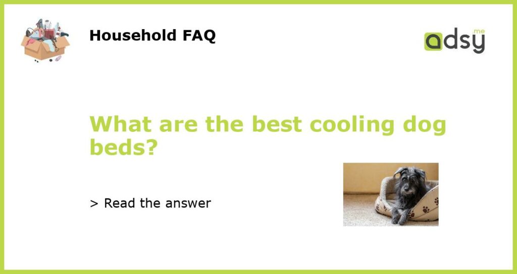 What are the best cooling dog beds featured