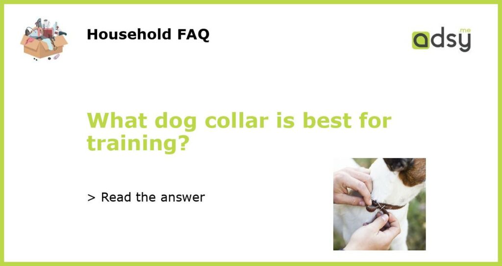 What dog collar is best for training featured
