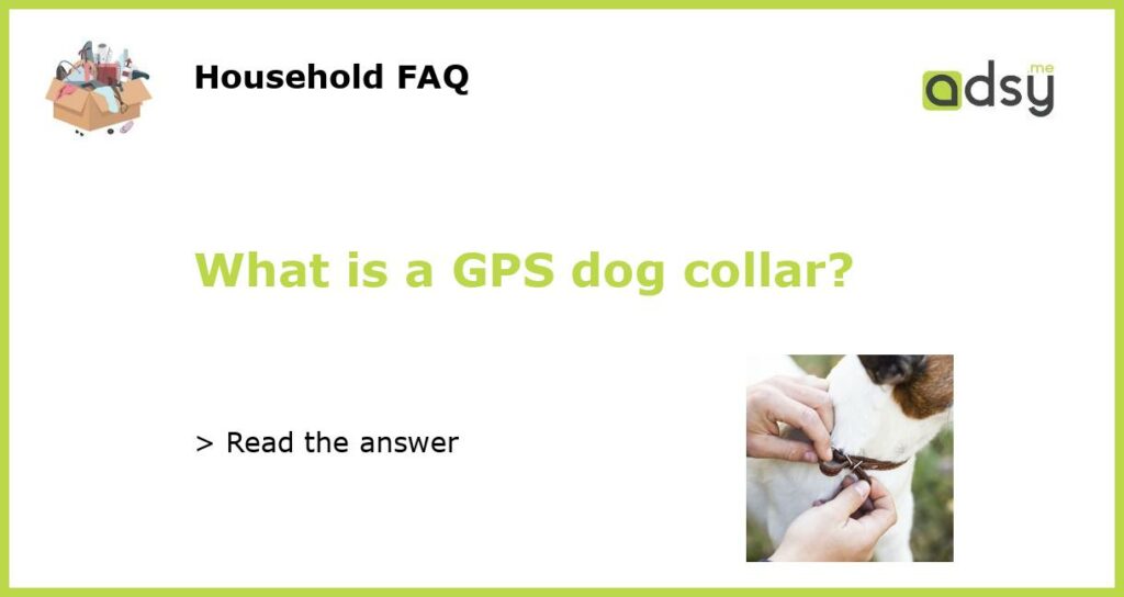 What is a GPS dog collar featured