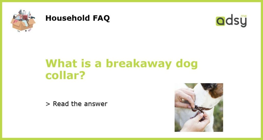 What is a breakaway dog collar featured
