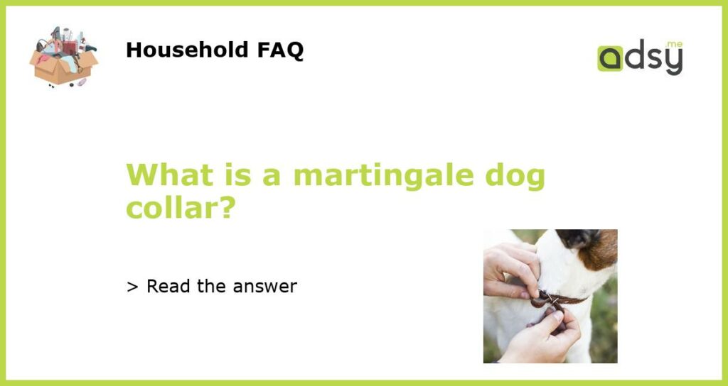 What is a martingale dog collar featured