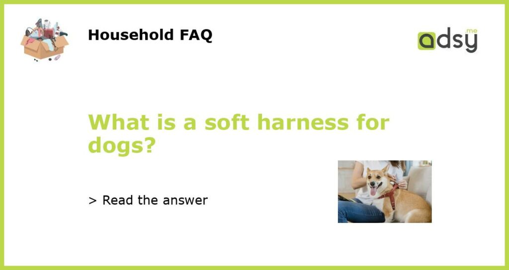 What is a soft harness for dogs featured