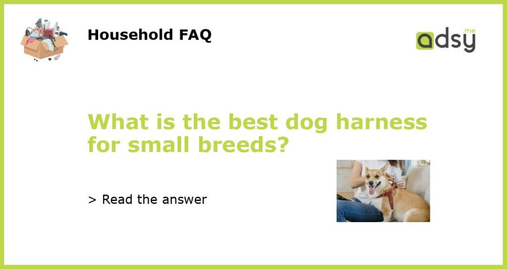 What is the best dog harness for small breeds featured