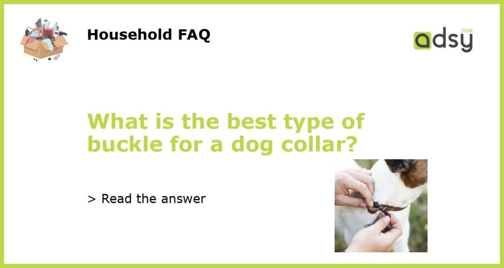 What is the best type of buckle for a dog collar featured