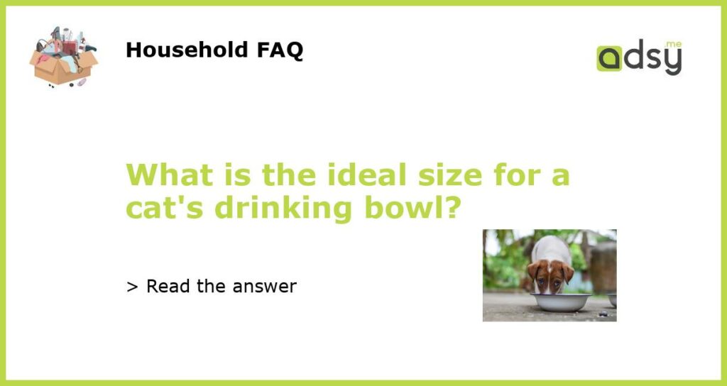 What is the ideal size for a cats drinking bowl featured