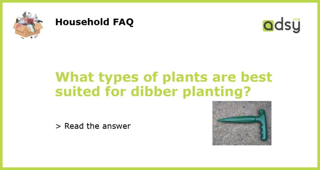 What types of plants are best suited for dibber planting featured