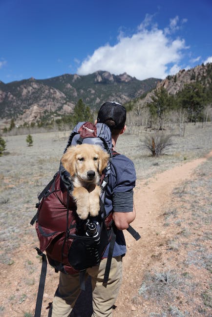 backpack for hiking