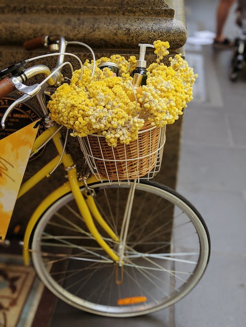 bike pannier