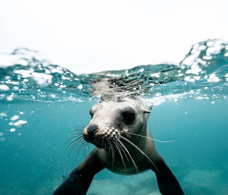 bottled water with seal