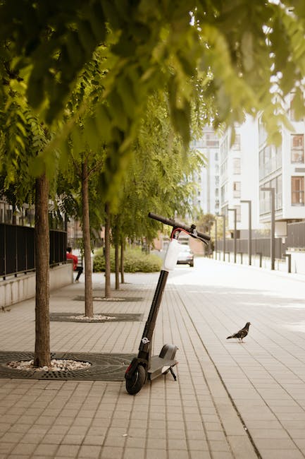 electric scooter rental