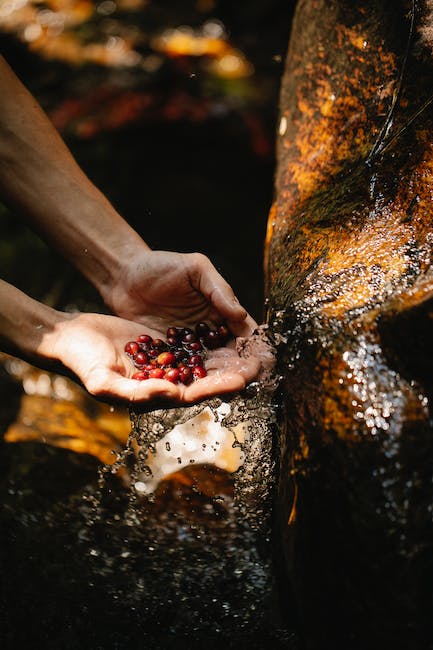 food and water for hiking