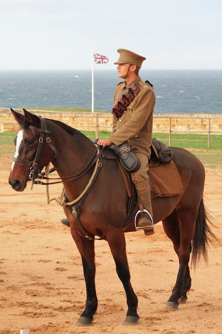 learning about history at historical reenactment