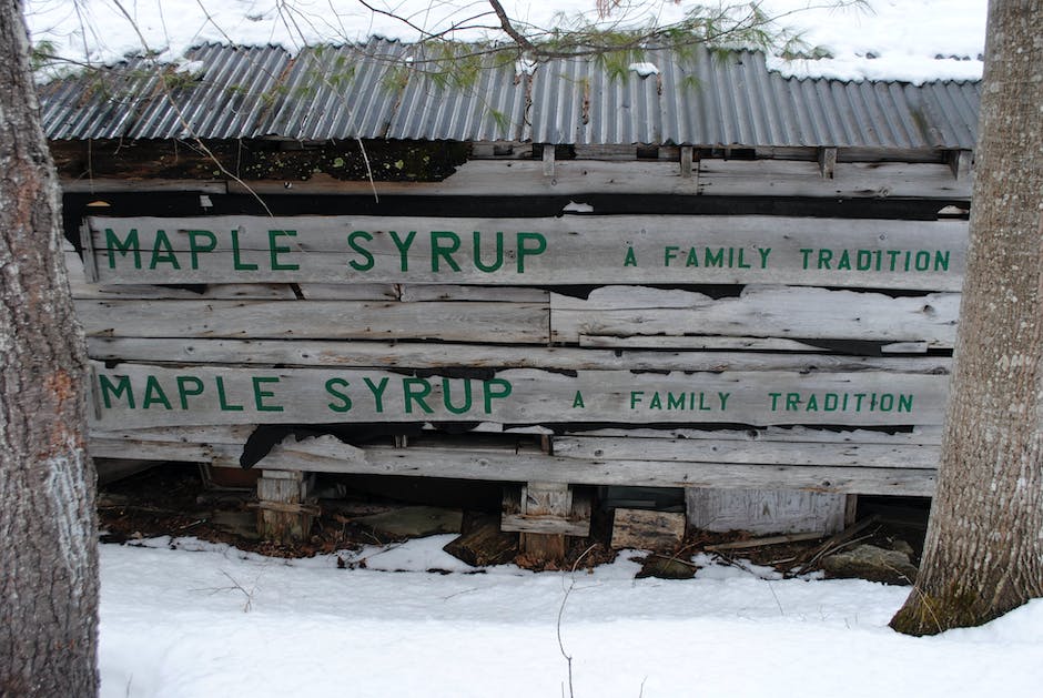 maple syrup production