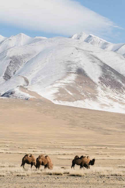 respecting local cultures on wildlife trip