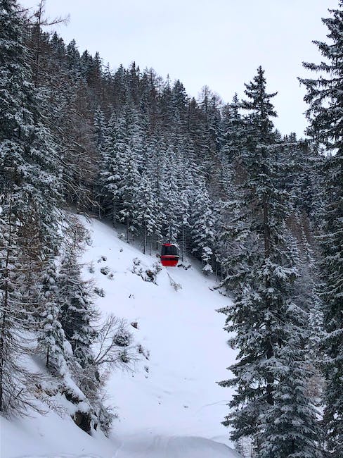 snowshoeing in Taos Ski Valley