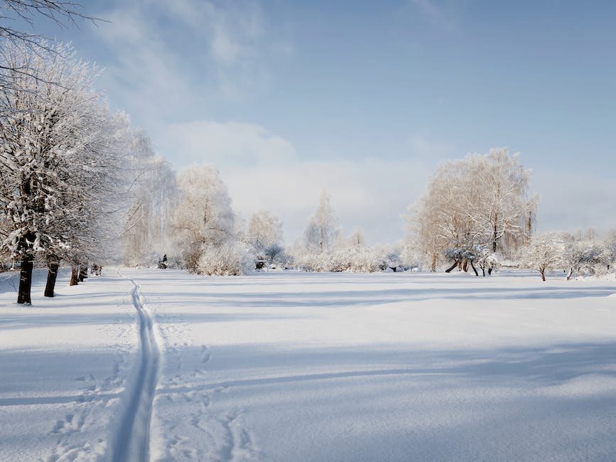 solo ski trip safety