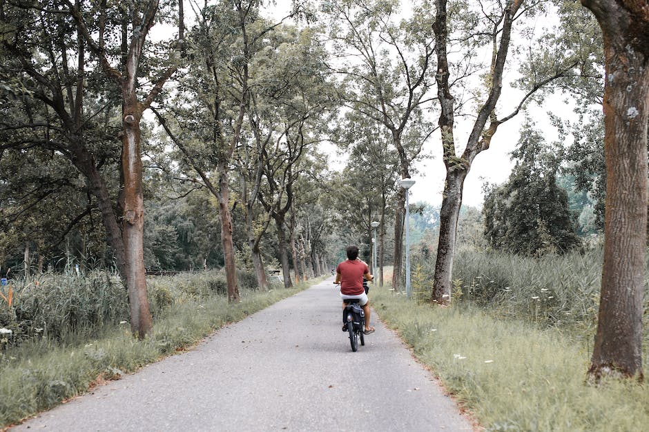 solo traveler biking