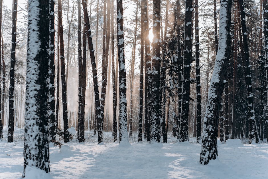 weather changes in national parks