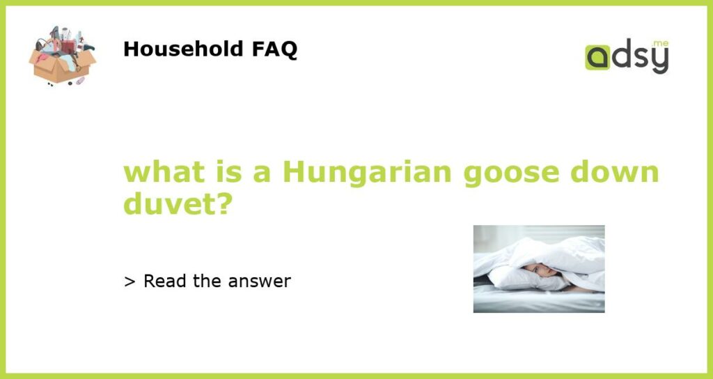 what is a Hungarian goose down duvet featured