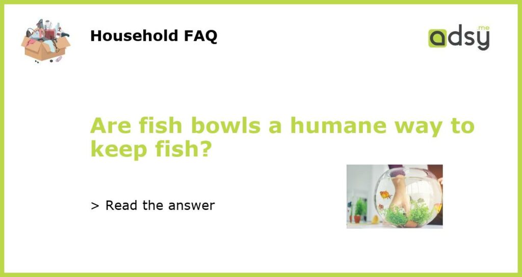 Are fish bowls a humane way to keep fish featured