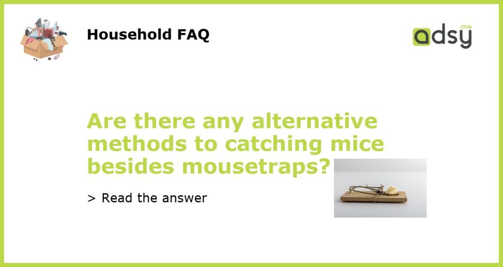 Are there any alternative methods to catching mice besides mousetraps featured