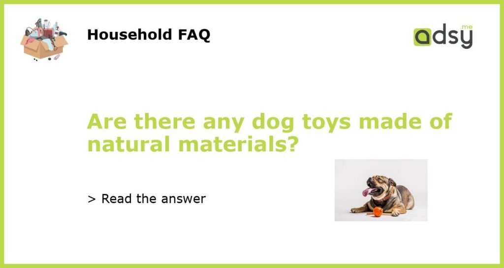 Are there any dog toys made of natural materials?