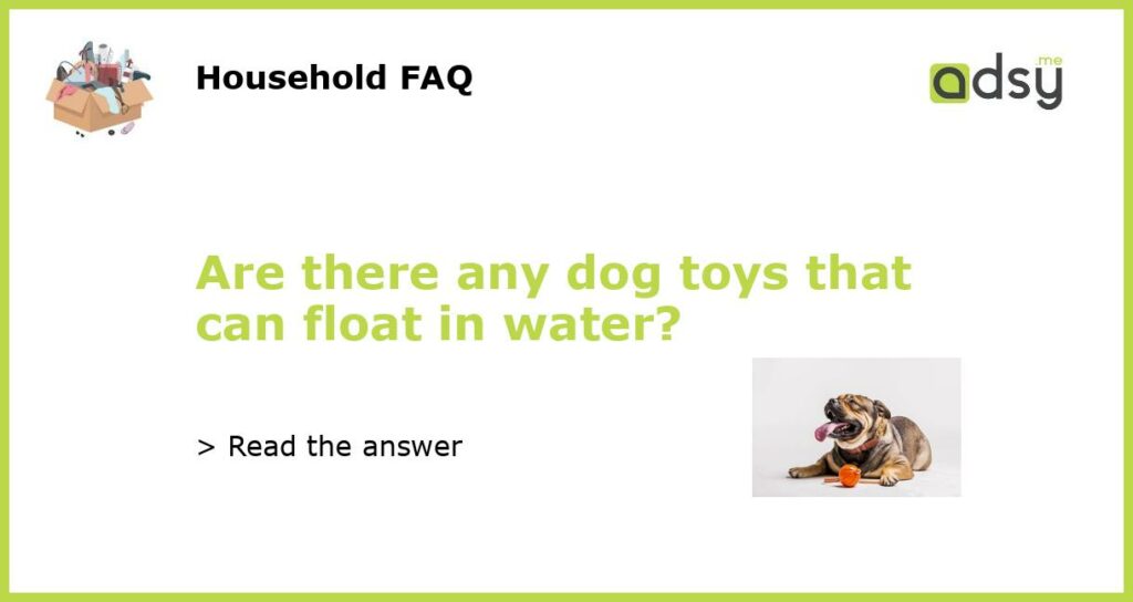 Are there any dog toys that can float in water featured