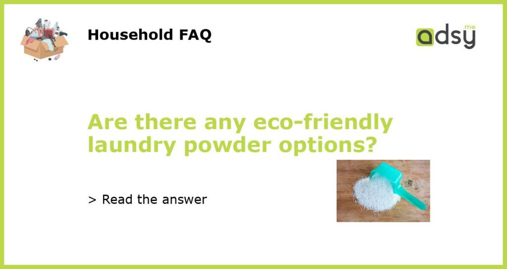 Are there any eco friendly laundry powder options featured