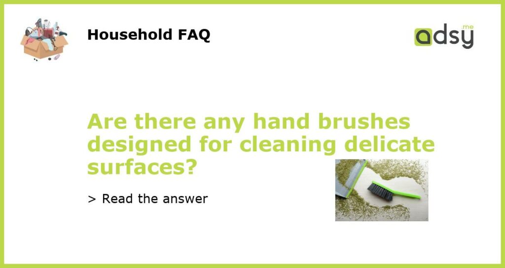 Are there any hand brushes designed for cleaning delicate surfaces featured