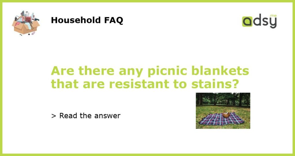 Are there any picnic blankets that are resistant to stains featured
