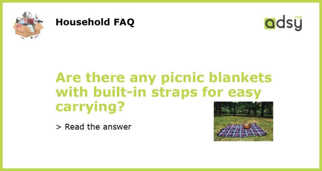 Are there any picnic blankets with built in straps for easy carrying featured