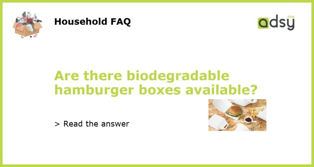 Are there biodegradable hamburger boxes available featured