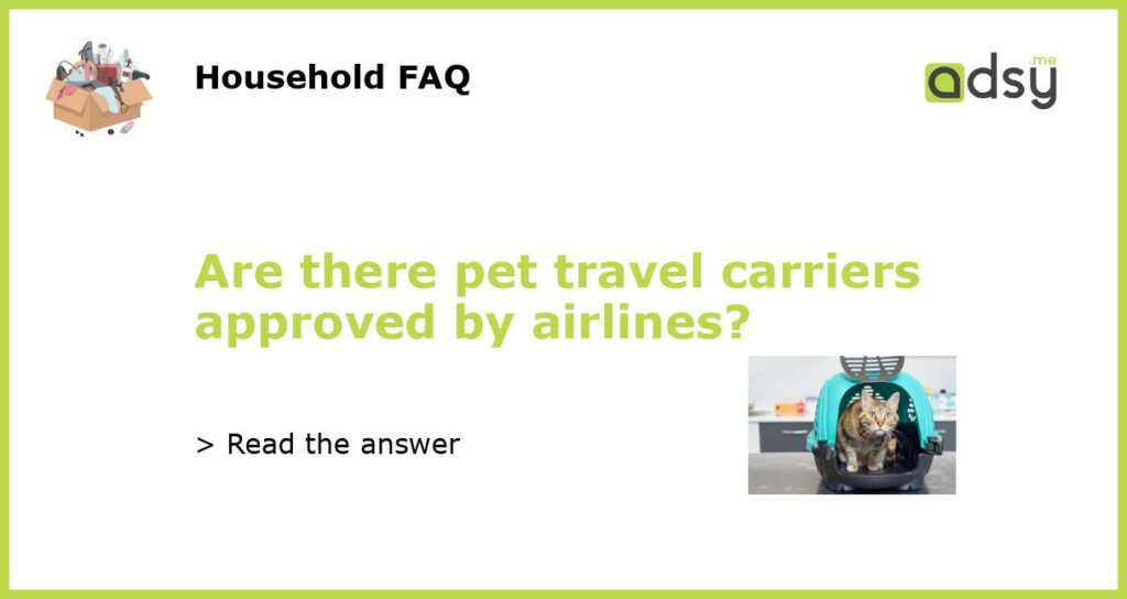 Are there pet travel carriers approved by airlines featured