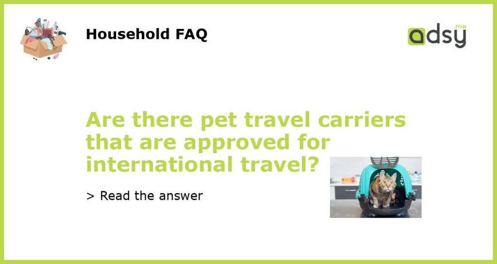 Are there pet travel carriers that are approved for international travel featured