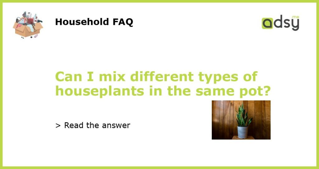 Can I mix different types of houseplants in the same pot featured