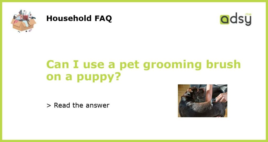 Can I use a pet grooming brush on a puppy featured