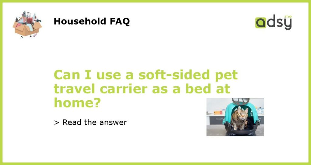 Can I use a soft sided pet travel carrier as a bed at home featured