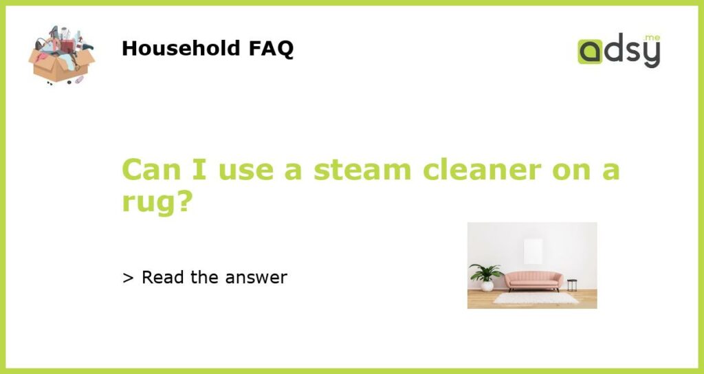 Can I use a steam cleaner on a rug?